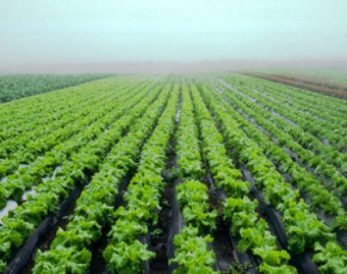 vdijb01052023080006.jpg